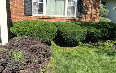 Photo of Scott W.'s yard after getting landscaping in Moxahala, OH