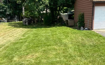 Photo of Alice H.'s yard after getting landscaping in Lawrence Township, NJ