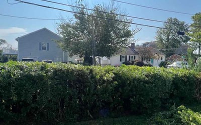 Photo of Chad D.'s yard after getting landscaping in Lackey, VA