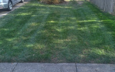 Photo of Julie P.'s yard after getting landscaping in Osawatomie, KS