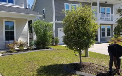 Photo of Louie D.'s yard after getting landscaping in Cross, SC