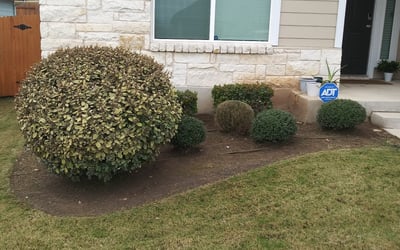 Photo of Daniel E.'s yard after getting landscaping in Prairie Lea, TX