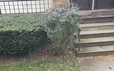 Photo of Karl R.'s yard after getting landscaping in Sussex, WI