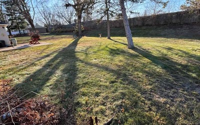 Photo of Terry S.'s yard after getting landscaping in Baldwin, WI