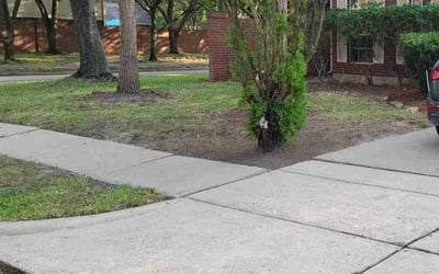 Photo of Marie N.'s yard after getting landscaping in Needville, TX