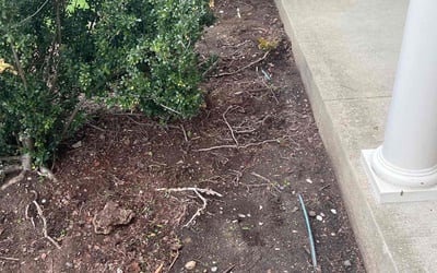 Photo of Justin M.'s yard after getting landscaping in Dumfries, VA