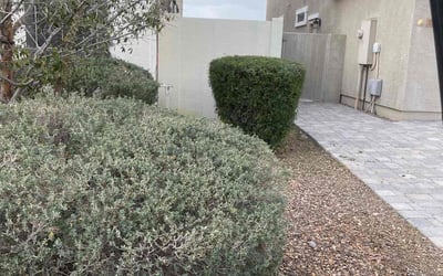 Photo of Amanda B.'s yard after getting landscaping in Cashion, AZ