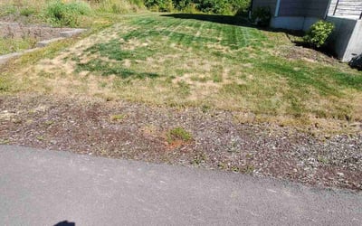 Photo of Justin K.'s yard after getting landscaping in Index, WA