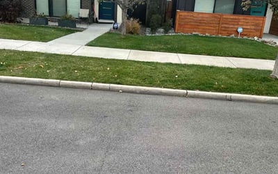 Photo of Debania C.'s yard after getting tree care in Bailey, CO