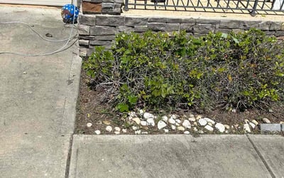 Photo of Kristen C.'s yard after getting landscaping in Taylorsville, GA