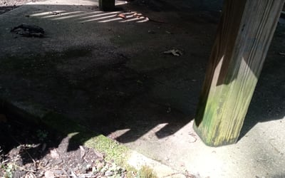Photo of Lisa S.'s yard after getting landscaping in Leeds, AL