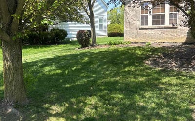 Photo of Deborah H.'s yard after getting landscaping in Lewis Center, OH