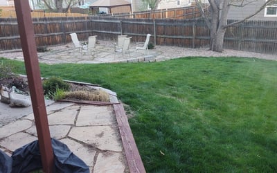 Photo of Laura G.'s yard after getting landscaping in U S A F Academy, CO