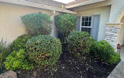 Photo of Robert V.'s yard after getting landscaping in Foresthill, CA