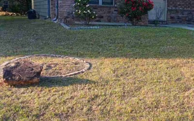 Photo of Rebecca B.'s yard after getting landscaping in Fairburn, GA