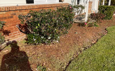 Photo of Susan W.'s yard after getting landscaping in Ark, VA