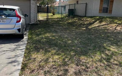 Photo of Brandon P.'s yard after getting landscaping in Universal City, TX