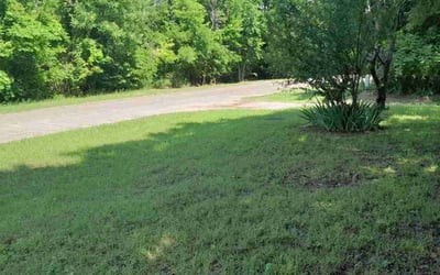 Photo of Shawn M.'s yard after getting landscaping in Midlothian, TX