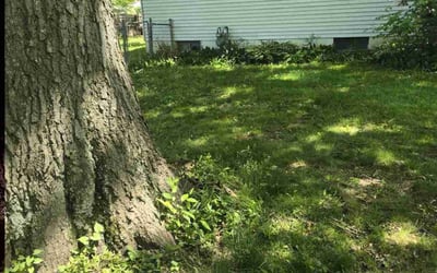 Photo of Christina A.'s yard after getting landscaping in Pickerington, OH