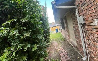 Photo of Moe W.'s yard after getting tree care in Mckinney, TX