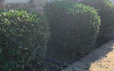 Photo of Larry S.'s yard after getting landscaping in Lanham, MD
