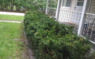 Photo of Jerrald S.'s yard after getting landscaping in Saint Bonifacius, MN