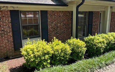 Photo of Keith B.'s yard after getting landscaping in Raleigh, NC