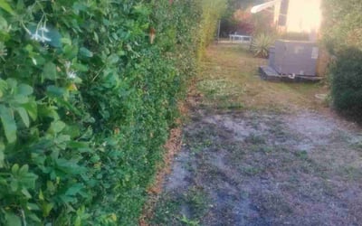Photo of Tammy A.'s yard after getting landscaping in West Palm Beach, FL