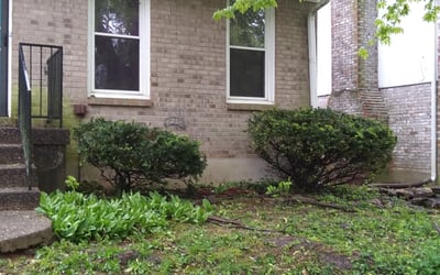 Photo of Jennifer F.'s yard after getting landscaping in Mount Washington, KY
