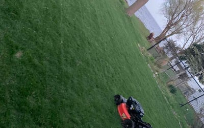 Photo of Zy&#039;Aire K.'s yard after getting tree care in Milwaukee, WI