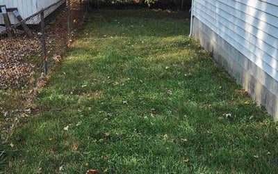 Photo of John S.'s yard after getting landscaping in Whiteland, IN
