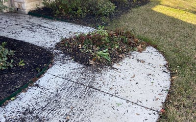 Photo of Jeff K.'s yard after getting landscaping in Bridgeport, TX