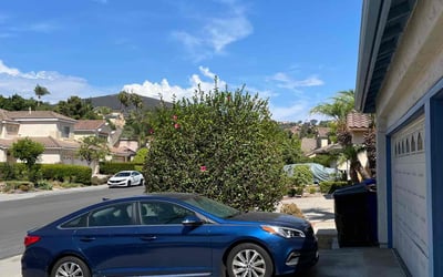 Photo of Brian M.'s yard after getting landscaping in Boulevard, CA