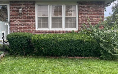 Photo of Keith W.'s yard after getting landscaping in Cowgill, MO