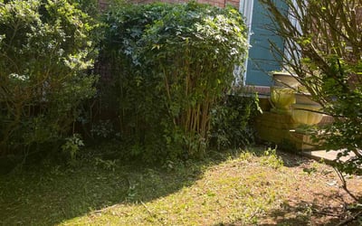 Photo of Jane L.'s yard after getting landscaping in Suwanee, GA