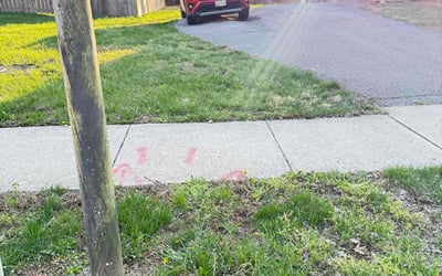 Photo of Pat L.'s yard after getting landscaping in Fort Washington, MD