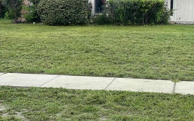 Photo of Reza R.'s yard after getting tree care in Deland, FL