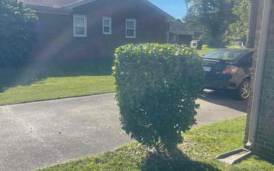 Photo of Michael F.'s yard after getting landscaping in Chesapeake, VA