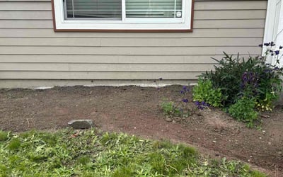 Photo of Margaret I.'s yard after getting tree care in Tacoma, WA