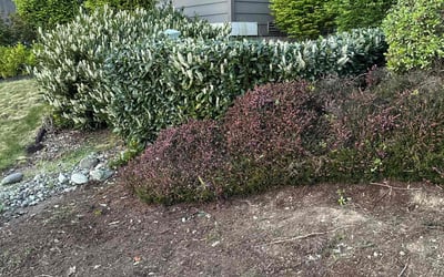 Photo of Justin M.'s yard after getting landscaping in Marysville, WA