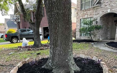 Photo of Christi B.'s yard after getting landscaping in Deer Park, TX