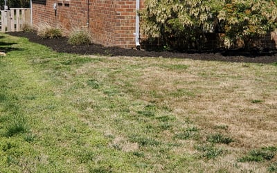 Photo of William M.'s yard after getting landscaping in Woods Cross Roads, VA