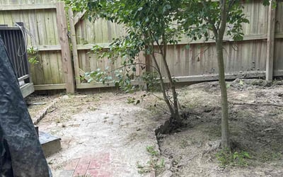 Photo of Marsha L.'s yard after getting tree care in Franklinton, NC