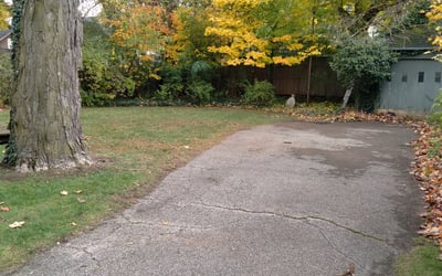 Photo of Patrick P.'s yard after getting landscaping in Greenville, MI