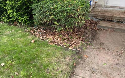 Photo of Rita M.'s yard after getting landscaping in Detroit, MI