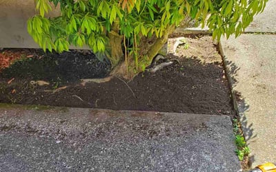 Photo of Katherine P.'s yard after getting landscaping in North Bend, WA