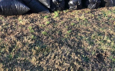 Photo of Logan M.'s yard after getting landscaping in Clinton, TN