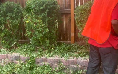 Photo of Taylor S.'s yard after getting landscaping in Bennett, CO