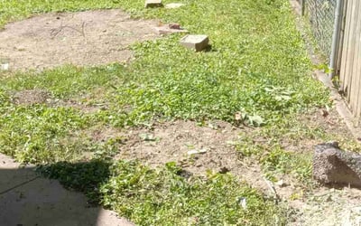 Photo of David S.'s yard after getting landscaping in Le Center, MN