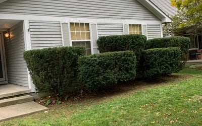 Photo of Brian B.'s yard after getting landscaping in Laurelville, OH
